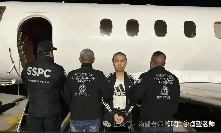 北大高材生为墨西哥毒枭首脑？为确保毒品持续流入美国，进行一站式服务