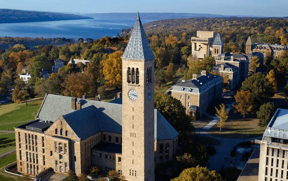 2026年美国TOP20 JD-MBA 双学位项目：学费、GMAT 与 LSAT 均分一览